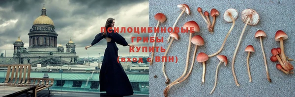 каннабис Алексеевка
