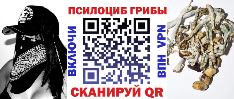 Галлюциногенные грибы Magic Shrooms  блэк спрут зеркало  Палласовка 